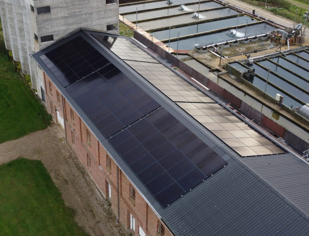 Solenergi til Rindsholm Dambrug